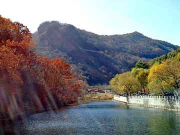 新澳门二四六天天彩，本田today